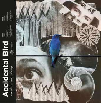 LP Accidental Bird: The Old News Shrug CLR