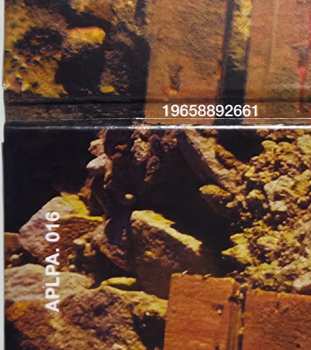 LP AC/DC: T.N.T. LTD