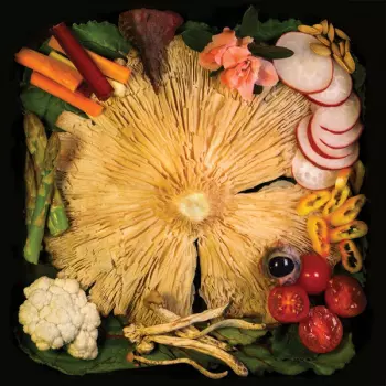Acid Baby Jesus: Vegetable
