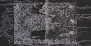 CD Acid Birth: Pleasures Of Flesh / The Divine Grotesque