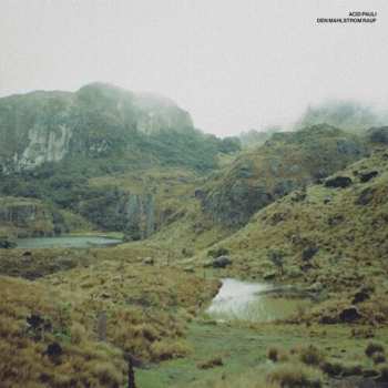 Album Acid Pauli: Den Mahlstrom Rauf