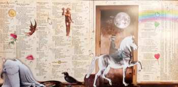 LP Acqua Fragile: Moving Fragments