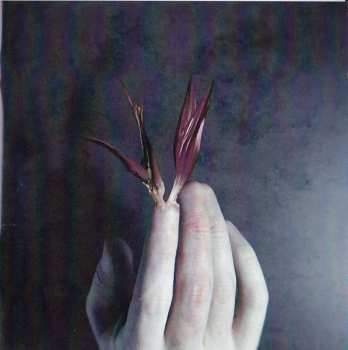 CD Acretongue: Strange Cargo