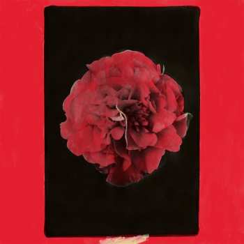 Album Activity: A Thousand Years In Another Way