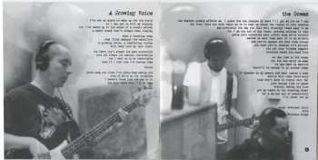 CD Adam And The Weight: Looking Up From The Ground