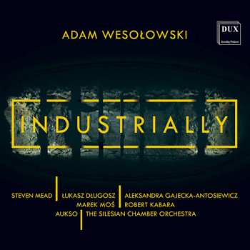 Album Adam Wesołowski: Industrially