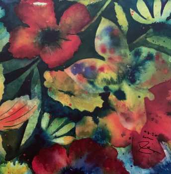 2LP Adrianne Lenker: Songs And Instrumentals