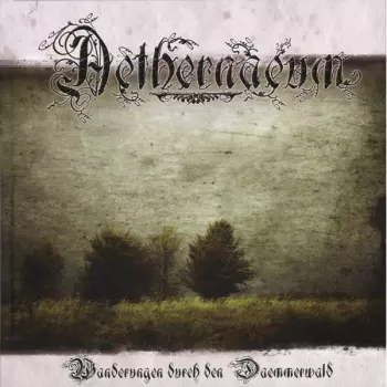 Aethernaeum: Wanderungen Durch Den Daemmerwald