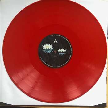 LP Ævestaden: Ingen Mere Gråter