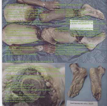 CD Aggressive Tyrants: Případy Plné Ženské Krve A Mužského Spermatu