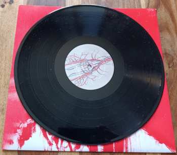 LP Agrio: El Amigo Americano 