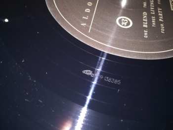 LP Aldous Harding: Party