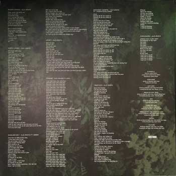 LP Alé Araya: in visions CLR | LTD