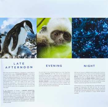 2LP Alex Heffes: Earth One Amazing Day (Original Motion Picture Soundtrack) NUM | LTD | CLR