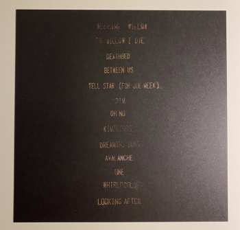 2LP Alex Somers: Siblings