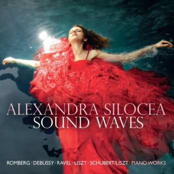 Album Franz Schubert: Sound Waves