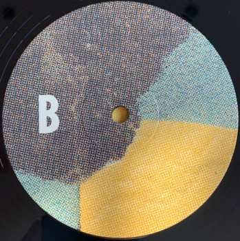 LP Alison Cotton: Only Darkness Now