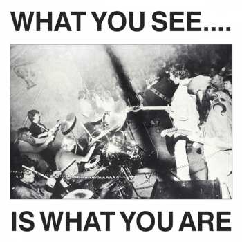 Album Alternative TV: What You See... Is What You Are
