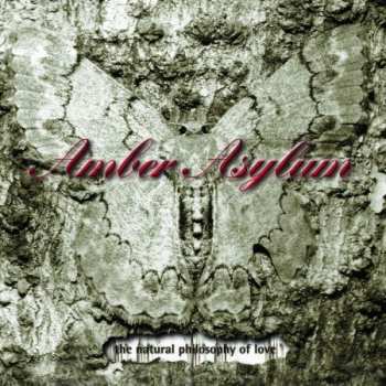 Album Amber Asylum: The Natural Philosophy of Love