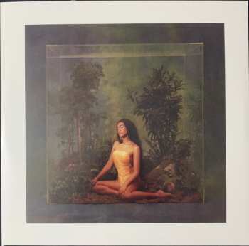 2LP Amber Mark: Three Dimensions Deep LTD | CLR