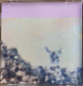 CD The Flaming Lips: American Head