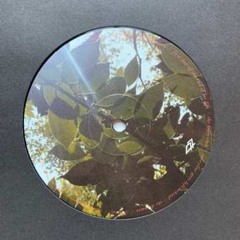 LP Amigo The Devil: Everything is Fine