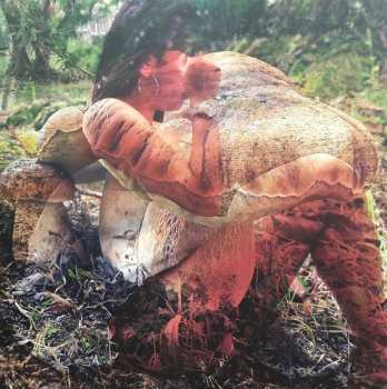 LP Amnesia Scanner: Lexachast