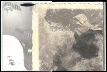 2CD Amplifier: Echo Street DLX | LTD