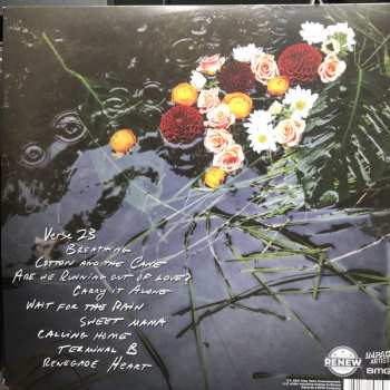 LP Amy Helm: What The Flood Leaves Behind