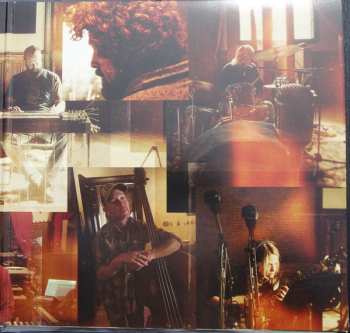 2LP Amy Ray: Holler