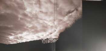 2LP And Also The Trees: Virus Meadow