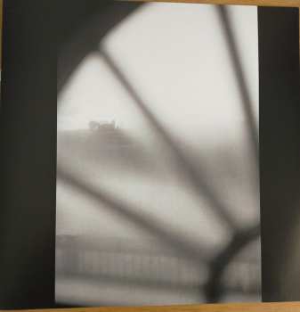 2LP And Also The Trees: Virus Meadow