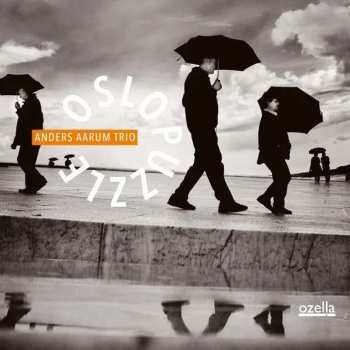 LP Anders Aarum: Oslo Puzzle