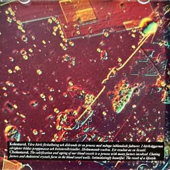 CD Anders Berglund: The Universe Within