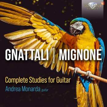 Album Andrea Monarda: Gitarrenwerke
