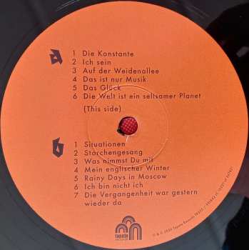 2LP Andreas Dorau: Im Gebüsch LTD