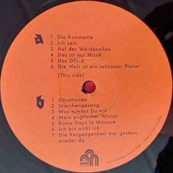 2LP Andreas Dorau: Im Gebüsch LTD