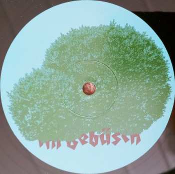 2LP Andreas Dorau: Im Gebüsch LTD