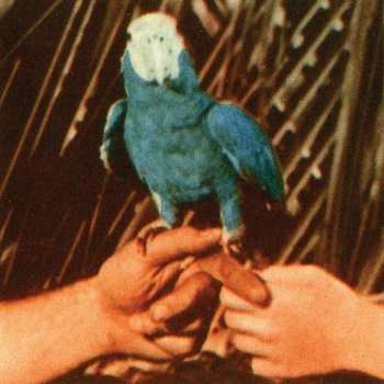 Album Andrew Bird: Are You Serious