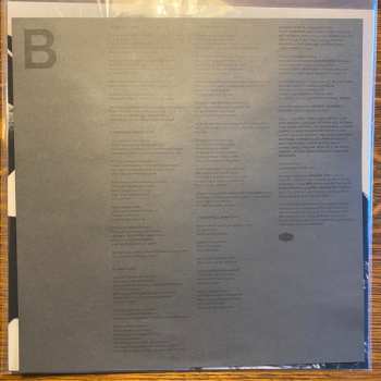 LP Andrew Bird: Inside Problems CLR | LTD