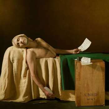 Album Andrew Bird: My Finest Work Yet