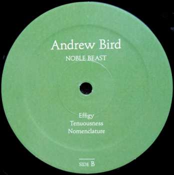 2LP Andrew Bird: Noble Beast