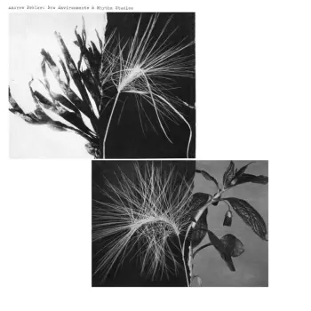 Andrew Pekler: New Environments & Rhythm Studies