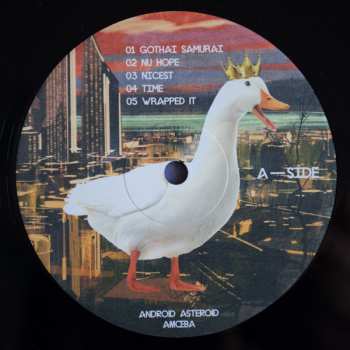 LP Android Asteroid: Amoeba