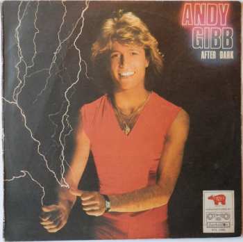 LP Andy Gibb: After Dark