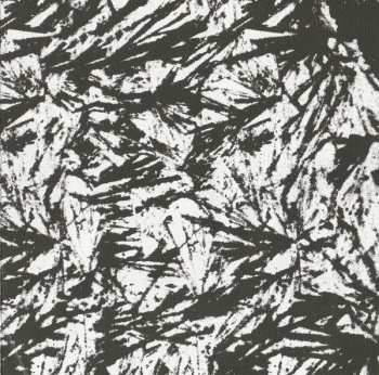 CD Andy Shauf: The Bearer Of Bad News