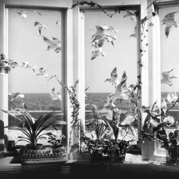 CD Andy Stott: Never The Right Time