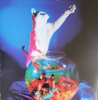 2LP Ani DiFranco: Little Plastic Castle CLR