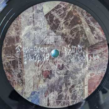 LP Animal Collective: Bridge To Quiet LTD