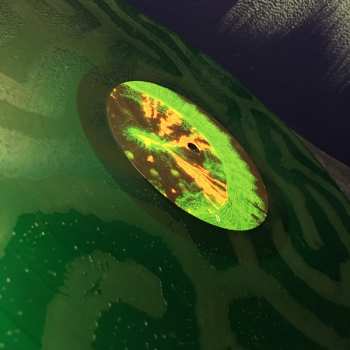 2LP Animal Collective: Tangerine Reef LTD | CLR